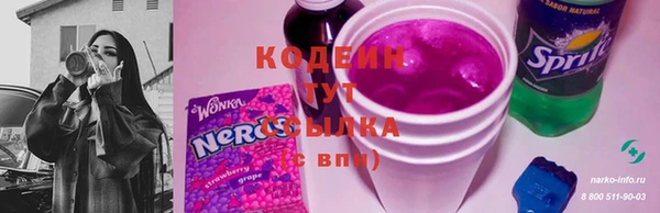 спиды Иннополис