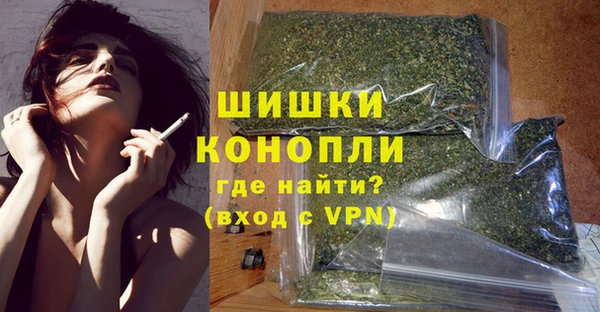 гашик Инсар