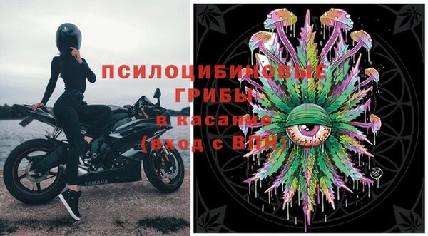 прущие крисы Инта