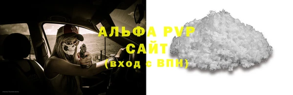 прущие крисы Инта