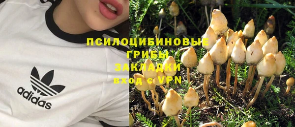 гашик Инсар