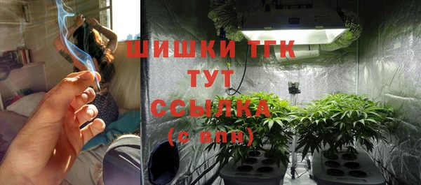 спиды Иннополис