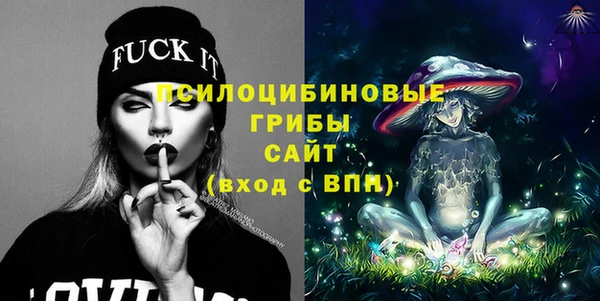 гашик Инсар
