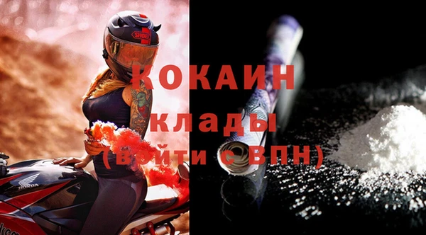 гашик Инсар