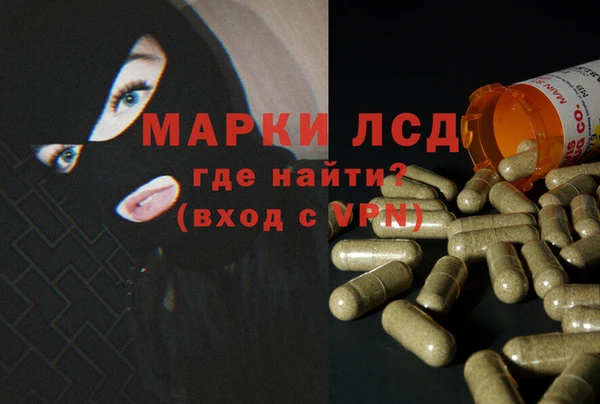прущие крисы Инта
