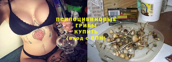 мет Каменногорск