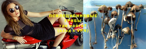 гашик Инсар