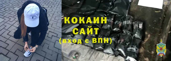 гашик Инсар